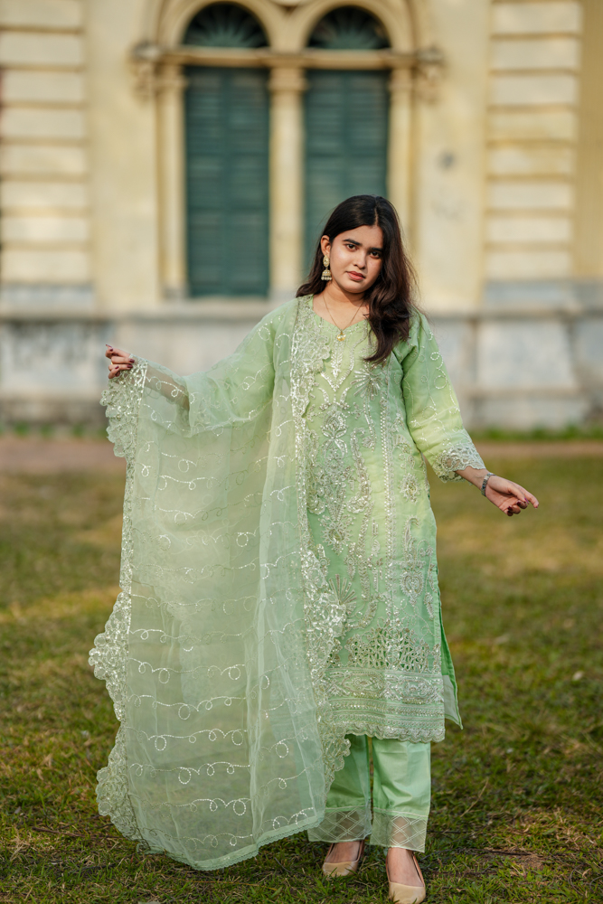 Party Wear Organza Three Piece